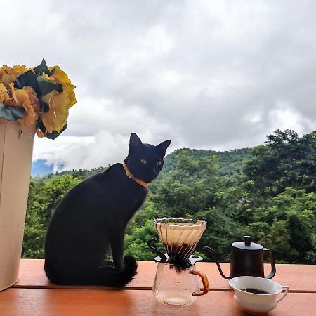 Terre Terrace Glamping - Doichang Ban Huai Khai Zewnętrze zdjęcie