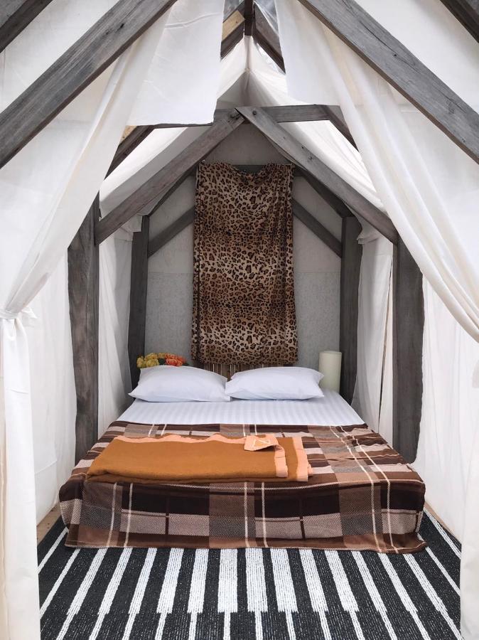 Terre Terrace Glamping - Doichang Ban Huai Khai Zewnętrze zdjęcie