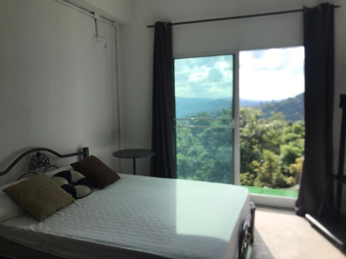 Terre Terrace Glamping - Doichang Ban Huai Khai Zewnętrze zdjęcie