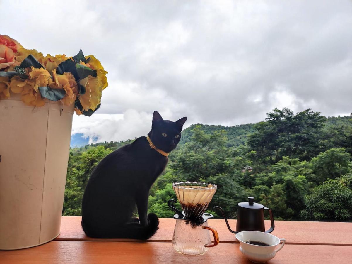 Terre Terrace Glamping - Doichang Ban Huai Khai Zewnętrze zdjęcie